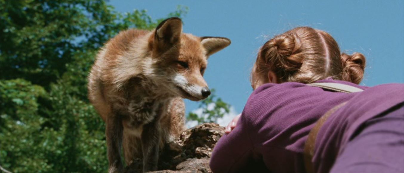 LA VOLPE E LA BAMBINA Spietati