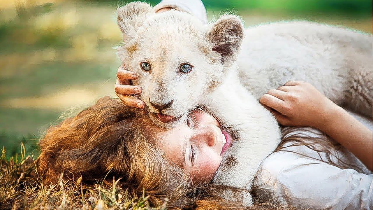 Mia Et Le Lion Blanc Fin Du Film MIA E IL LEONE BIANCO SCARICARE GRATIS - Bigwhitecloudrecs