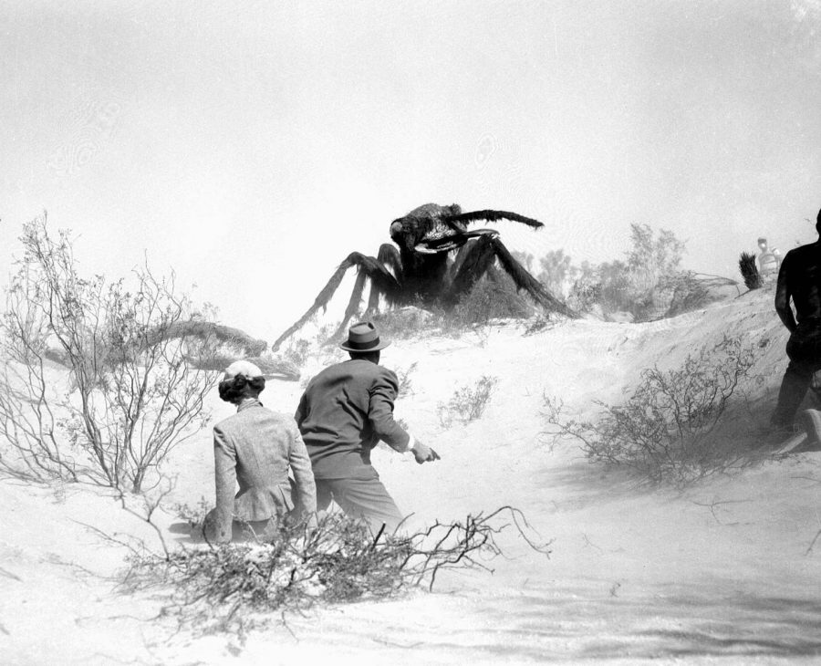 ASSALTO ALLA TERRA Spietati Recensioni e Novità sui Film