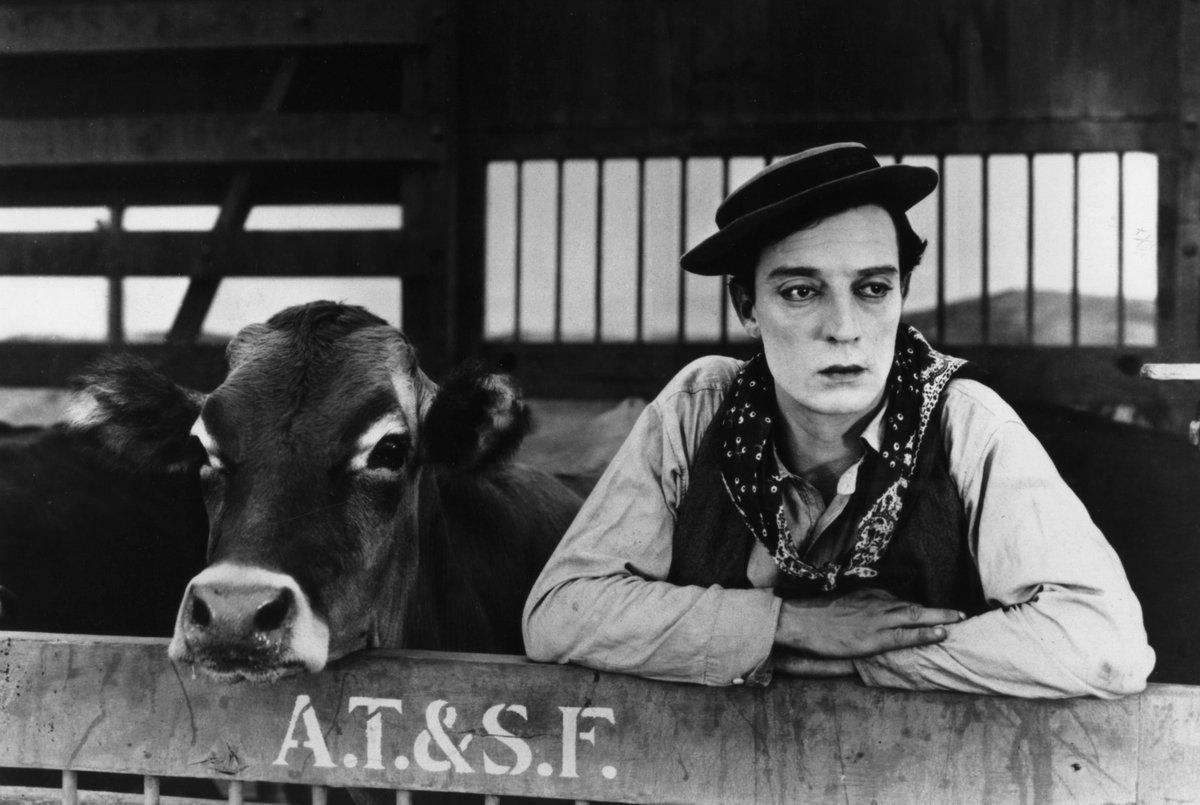 IO E LA VACCA Spietati Recensioni e Novità sui Film IO E LA VACCA Spietati Recensioni e Novità sui Film