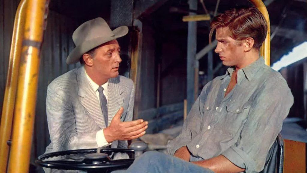 A CASA DOPO L'URAGANO Spietati Recensioni e Novità sui Film A CASA DOPO L'URAGANO Spietati Recensioni e Novità sui Film