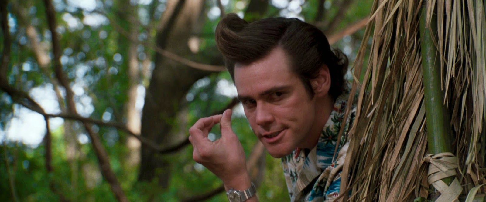 ACE VENTURA MISSIONE AFRICA Spietati Recensioni e Novità sui Film ACE VENTURA MISSIONE AFRICA Spietati Recensioni e Novità sui Film