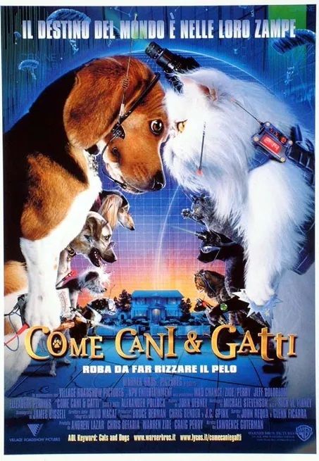 traccia del film sui gatti