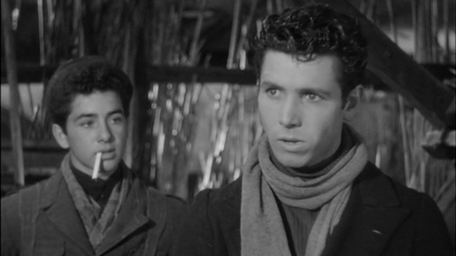 SOTTO IL SOLE DI ROMA Spietati Recensioni e Novità sui Film