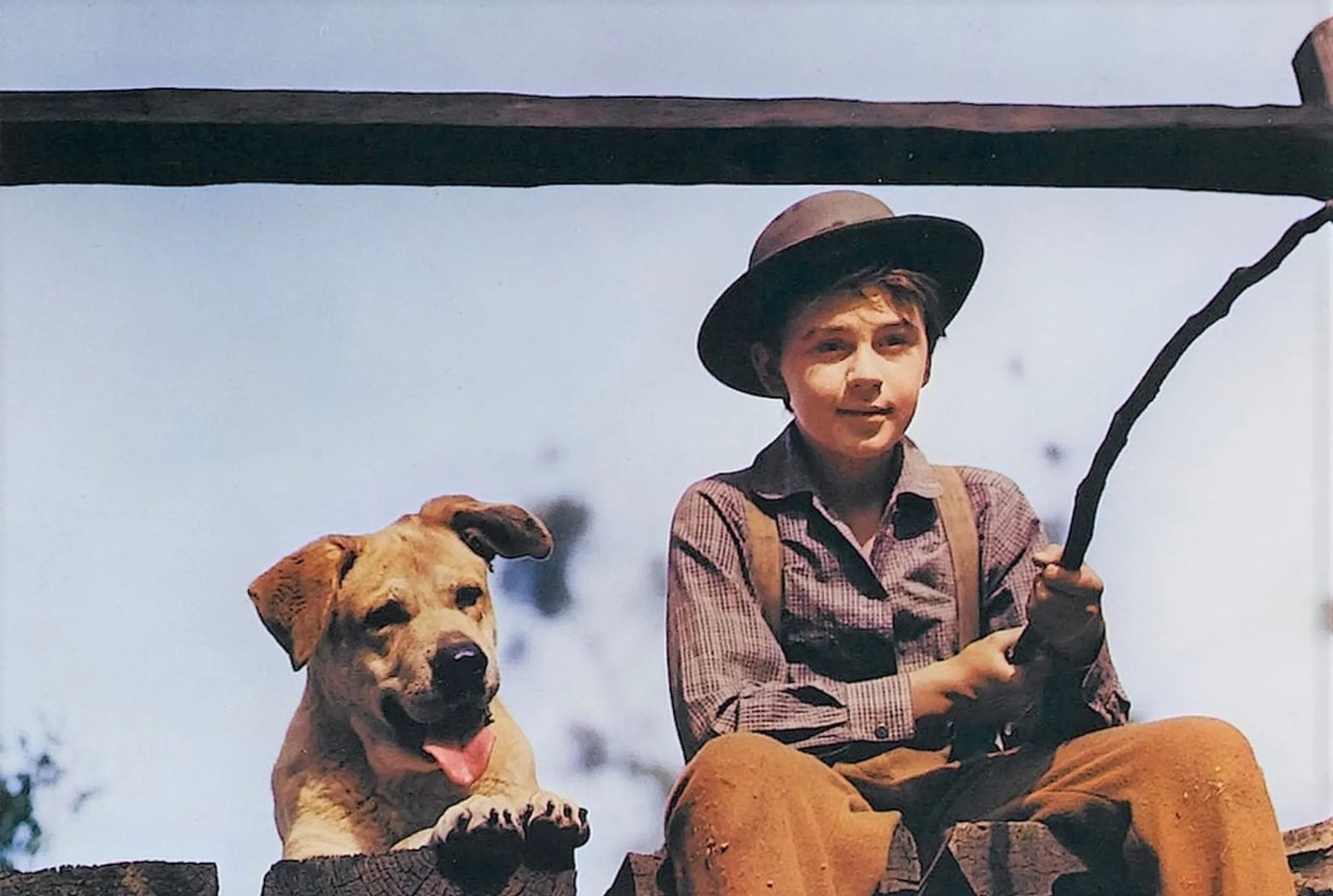 ZANNA GIALLA Spietati Recensioni e Novità sui Film